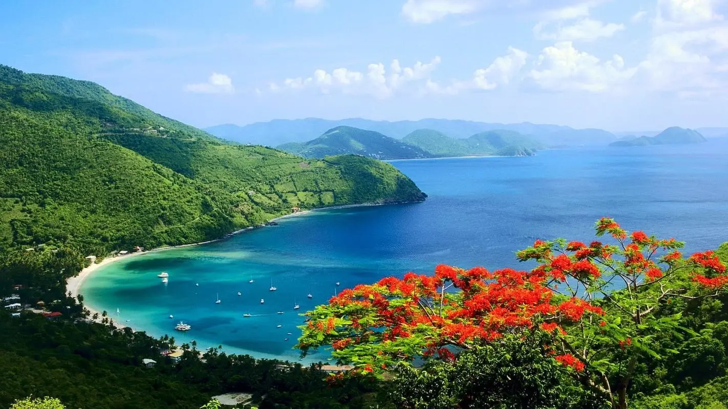 高效稳定性环保